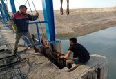 اتمام تعمیر دریچه های آشغالگیر ایستگاه پمپاژ RMD هندیجان 