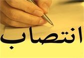 مشاور مدیر عامل منصوب شد